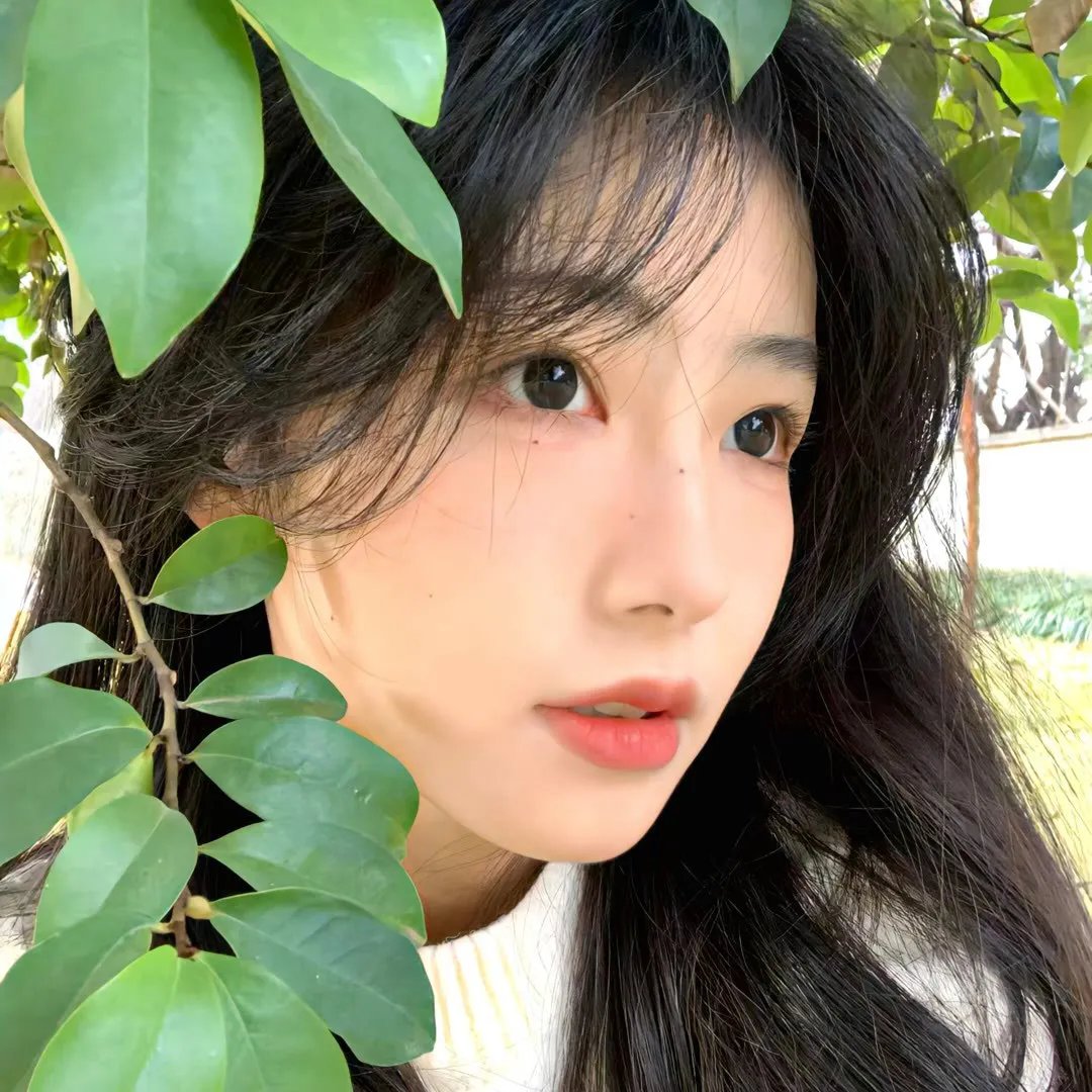 痴恋风尘